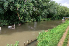 IMG_20210728_122755