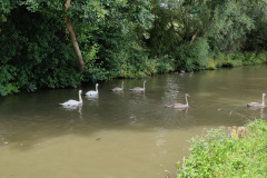 IMG_20210728_122801