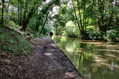 IMG_20210728_152821