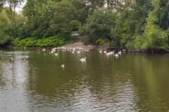 IMG_20210729_175948