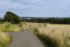 IMG_20210729_182151