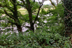 IMG_20210731_141157__01