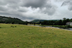 IMG_20210731_141858