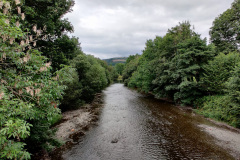 IMG_20210731_151230