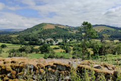 IMG_20210801_120104