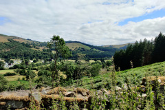 IMG_20210801_120108