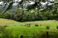 IMG_20210802_141648