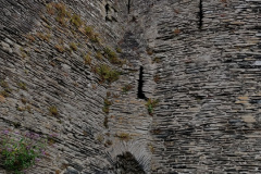 IMG_20210803_105157