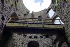 IMG_20210803_105451