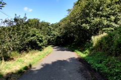 IMG_20210804_115045