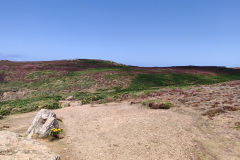 IMG_20210804_133707