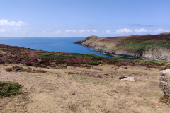 IMG_20210804_133712