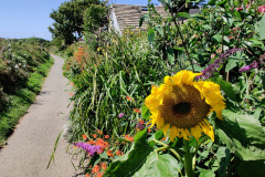 IMG_20210806_132006
