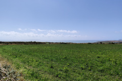 IMG_20210806_132554