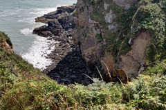 IMG_20210806_142337