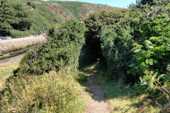 IMG_20210806_150024