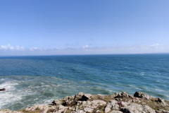 IMG_20210806_161205