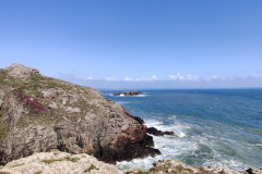 IMG_20210806_161207