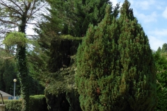 P1010696